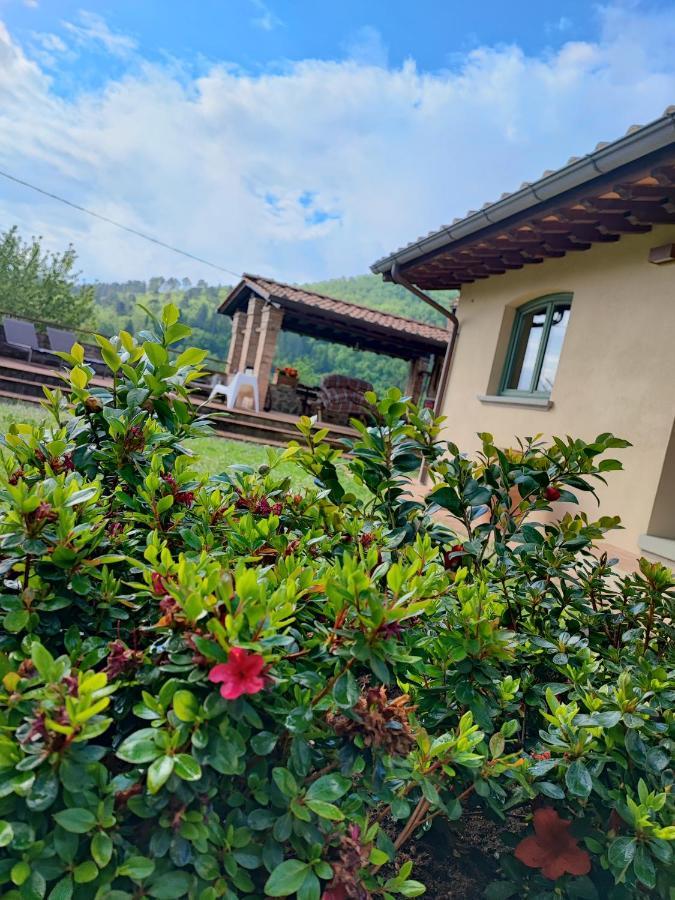 Villa Giulia Fashion B&B Strada in Chianti Extérieur photo